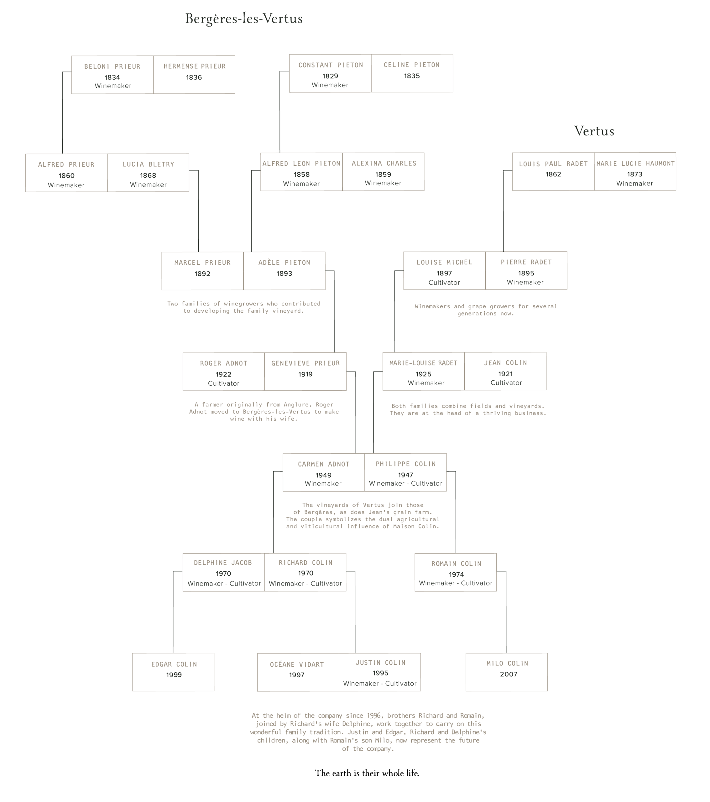 arbre généalogie anglais